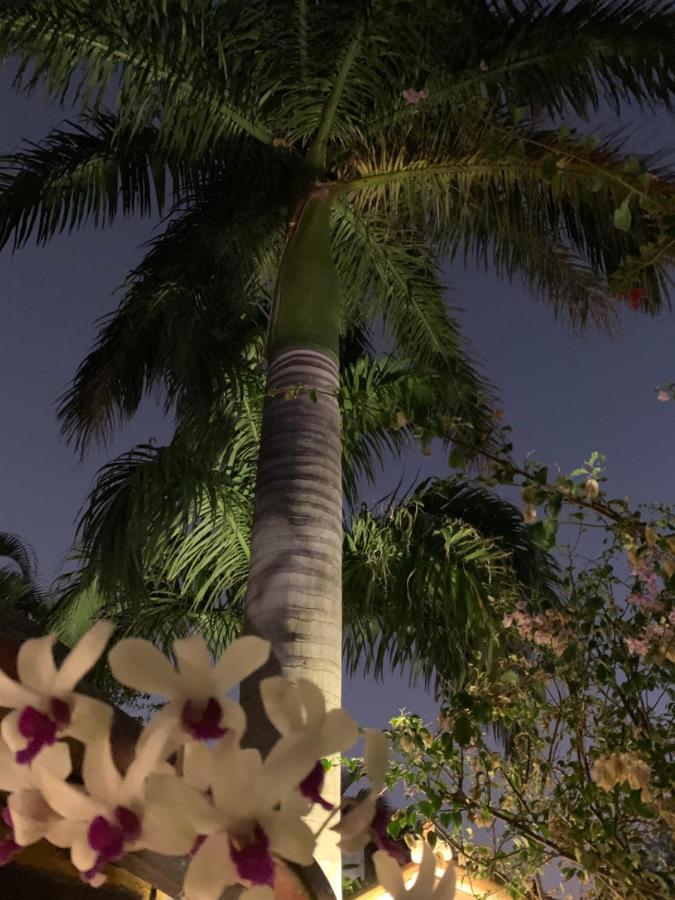 Búzios Villa Lulu Maison מראה חיצוני תמונה